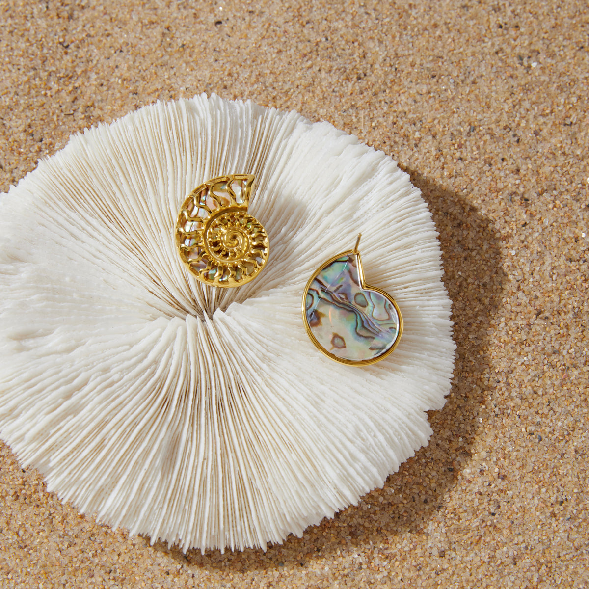 J&D Abalone Shell Hollow