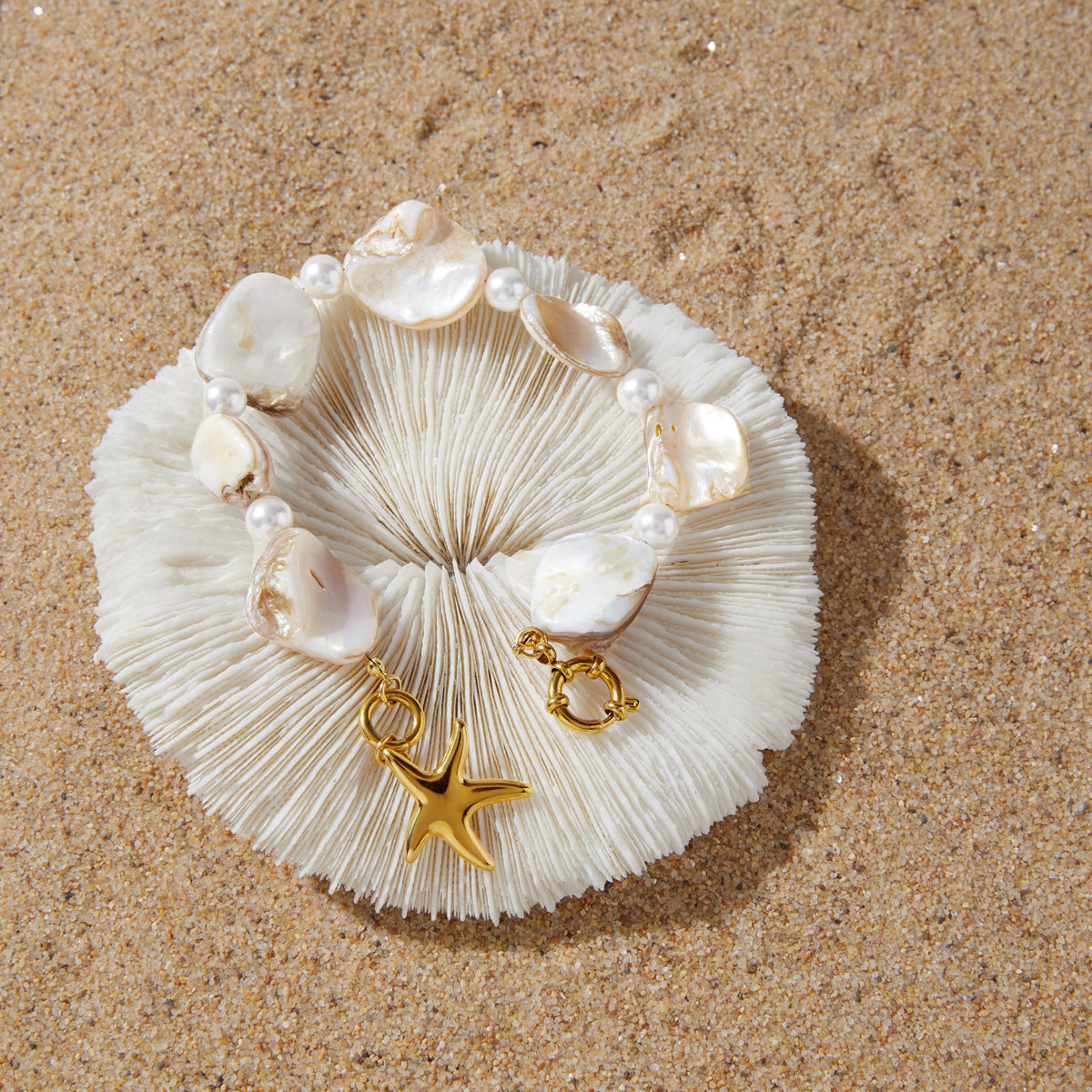 J&D  Natural Abalone Cowrie Shell