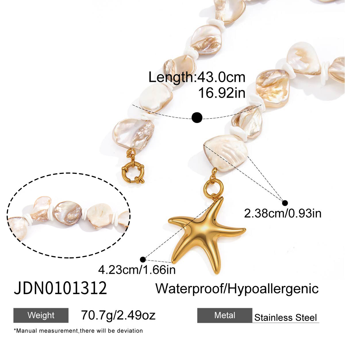 J&D  Natural Abalone Cowrie Shell