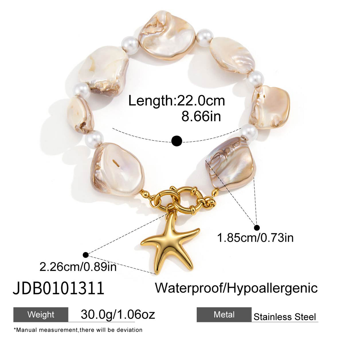 J&D  Natural Abalone Cowrie Shell