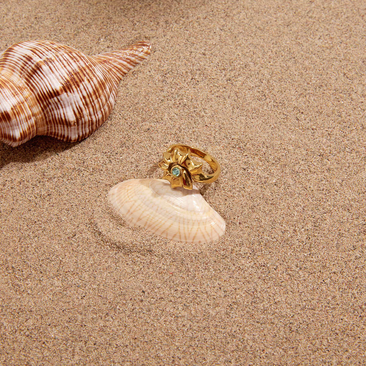 J&D    Blue Water Drop Conch Shell