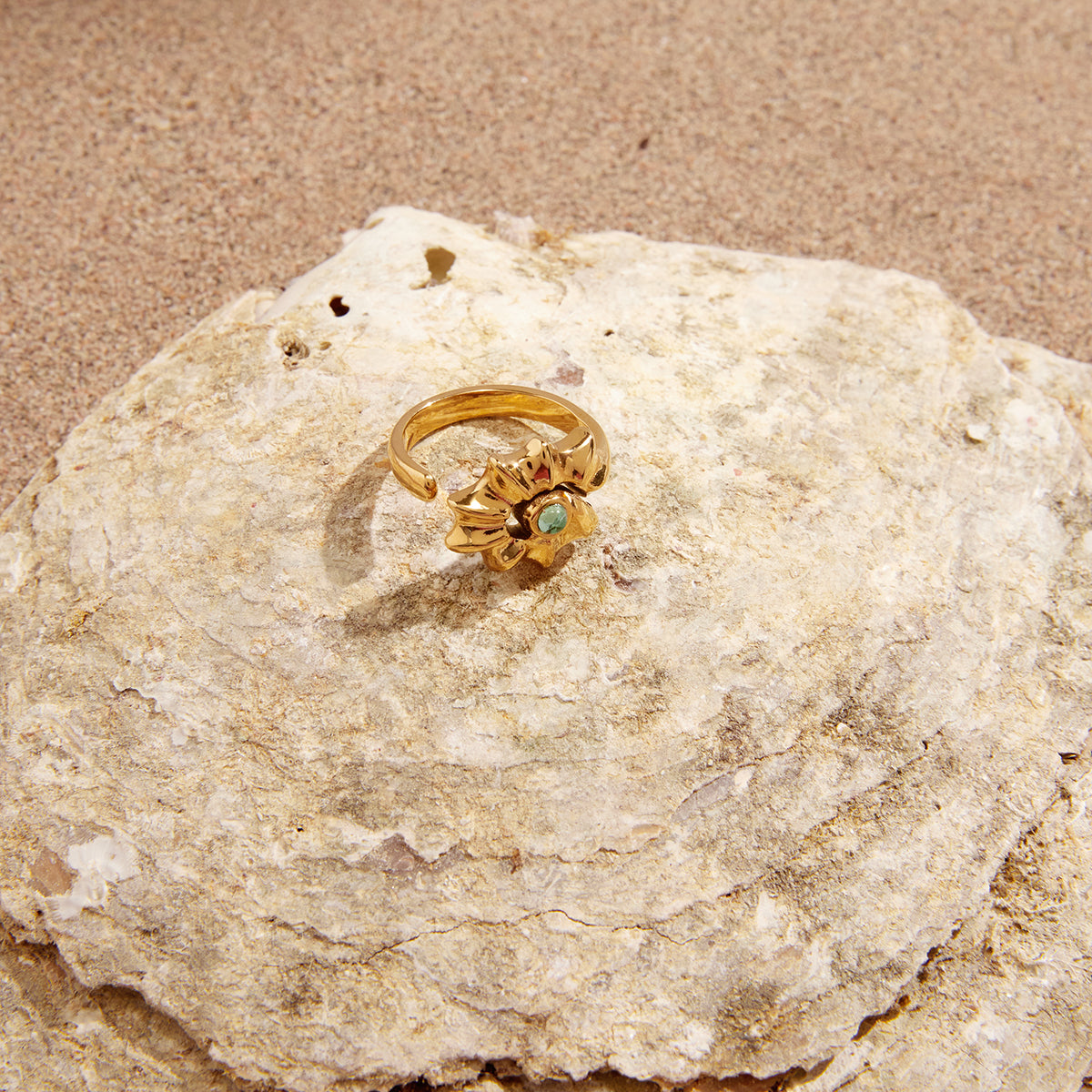 J&D    Blue Water Drop Conch Shell