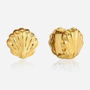 J&D  Classic Hollow Sea Shell Earrings