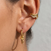 Hypoallergenic Classic