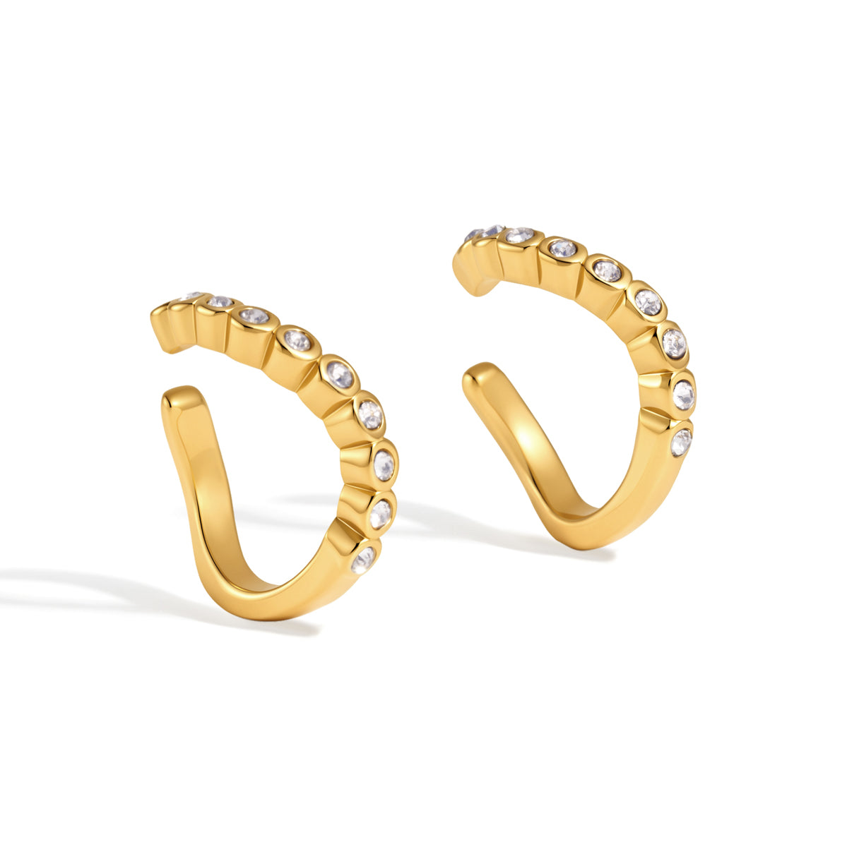 Tarnish Free Earring