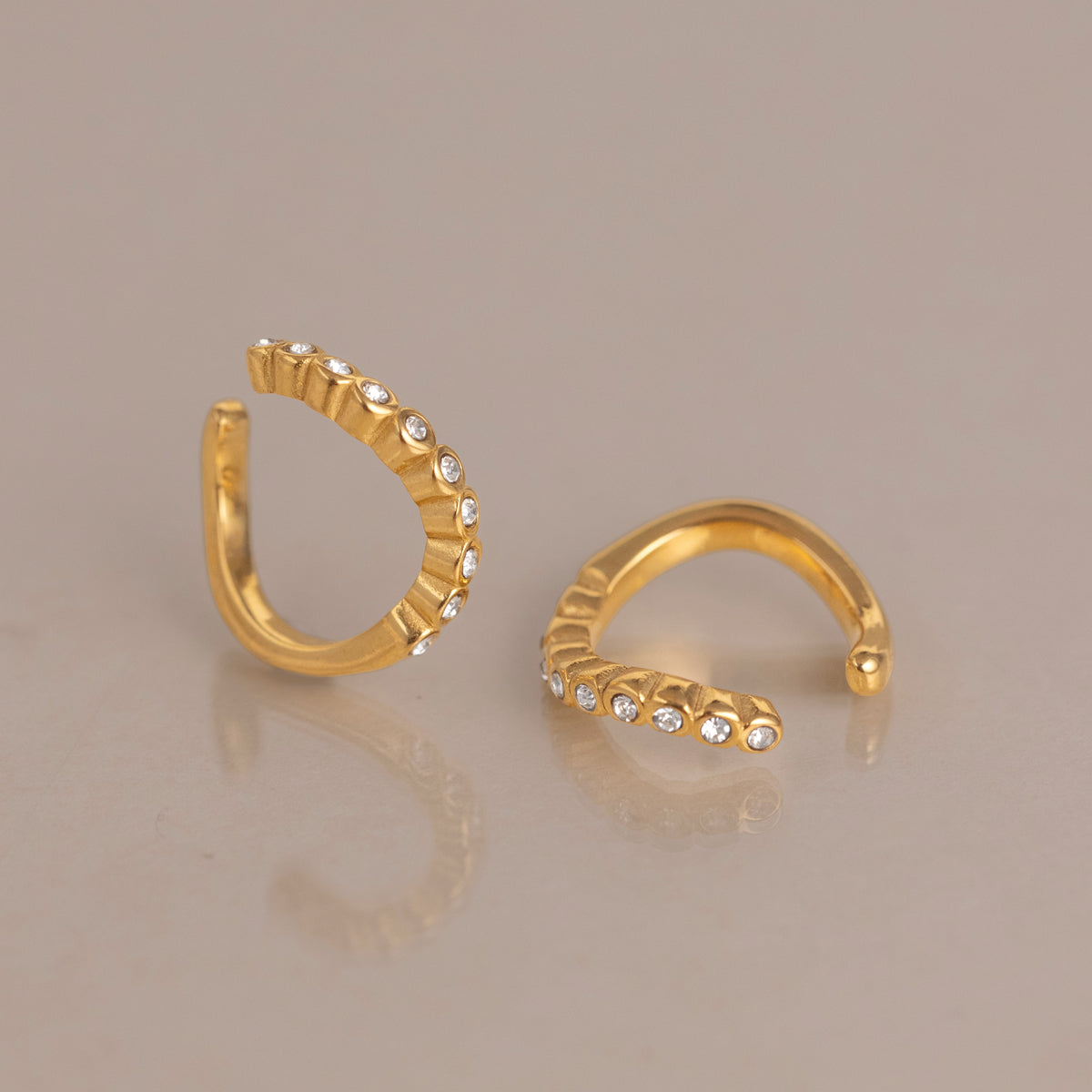 Tarnish Free Earring