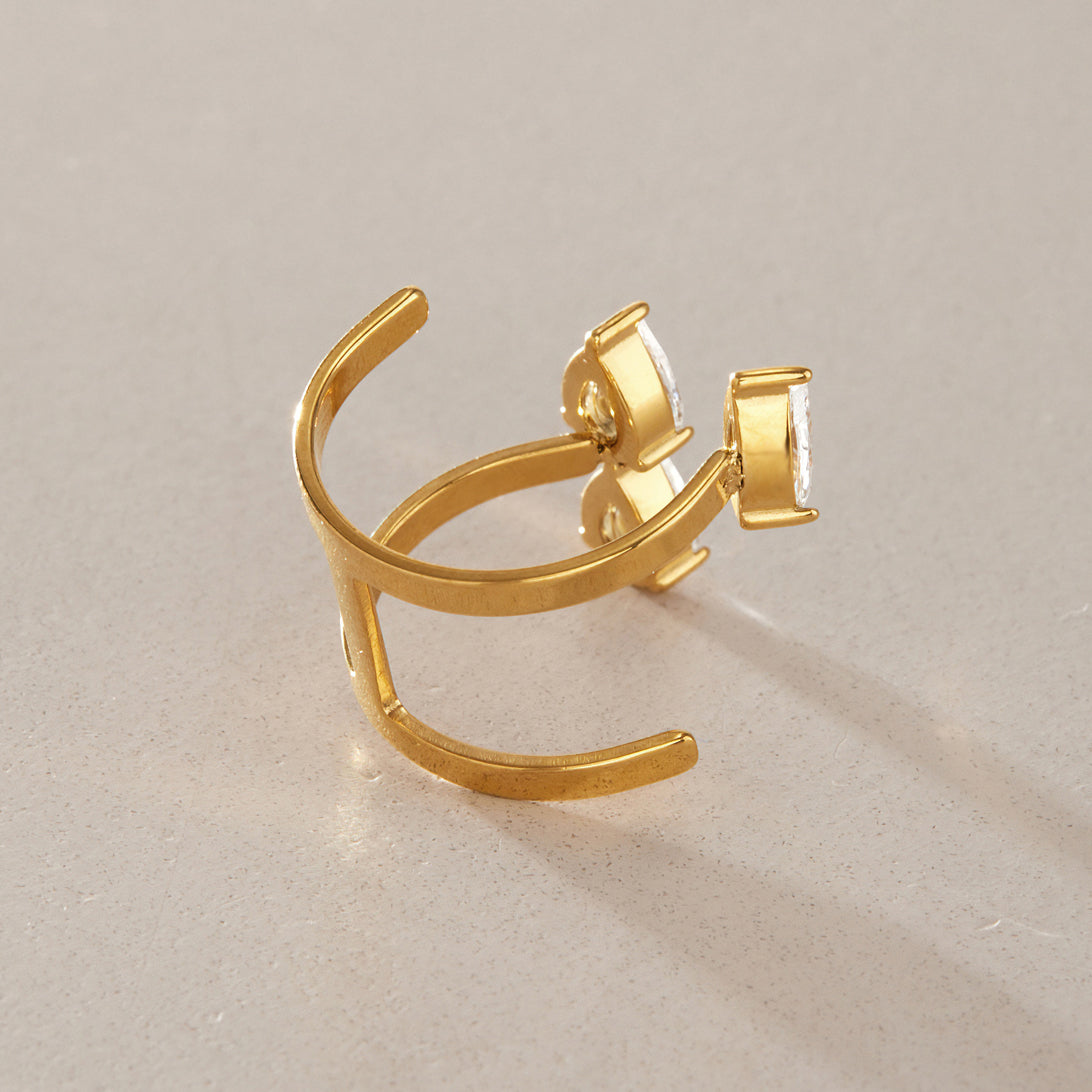 Asymmetric Open Ring